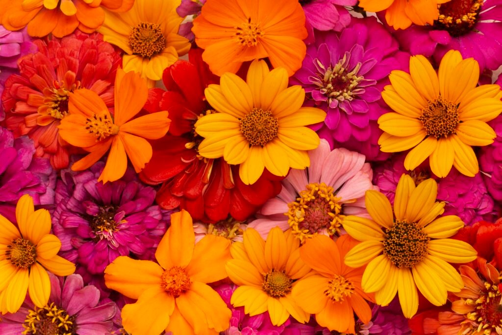 Frases Dedicadas a las Flores