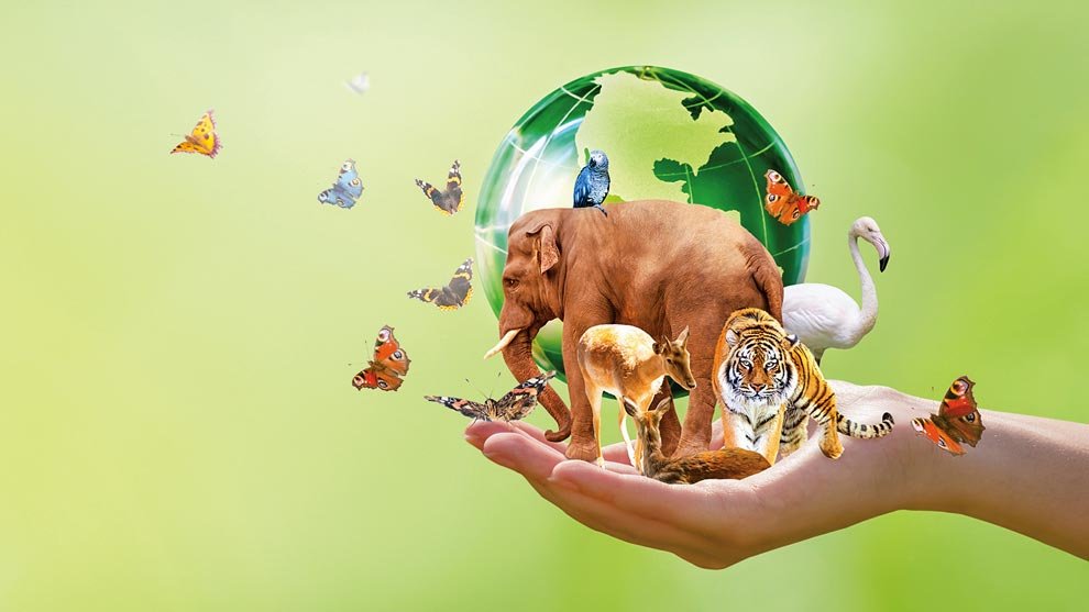 diversidad biologica