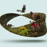 diversidad de animales en el mundo