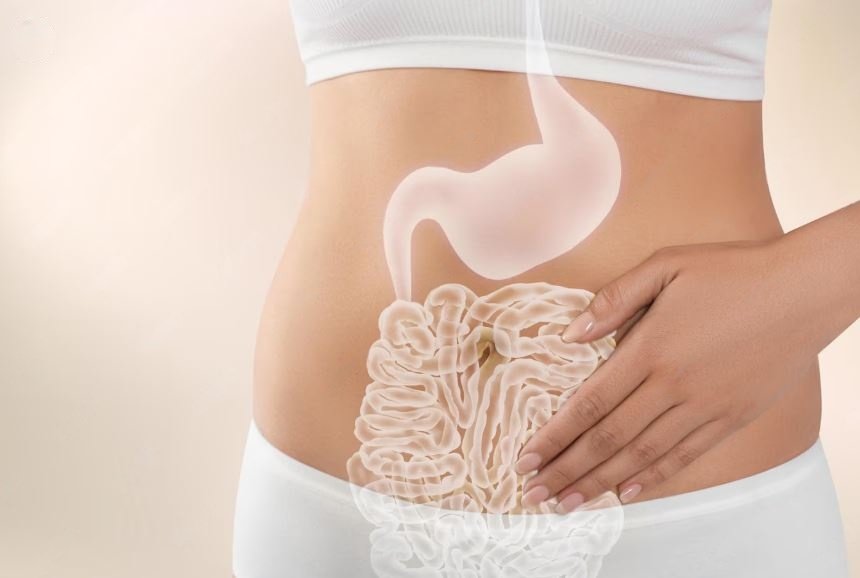 salud intestinal transparente mujer delgada