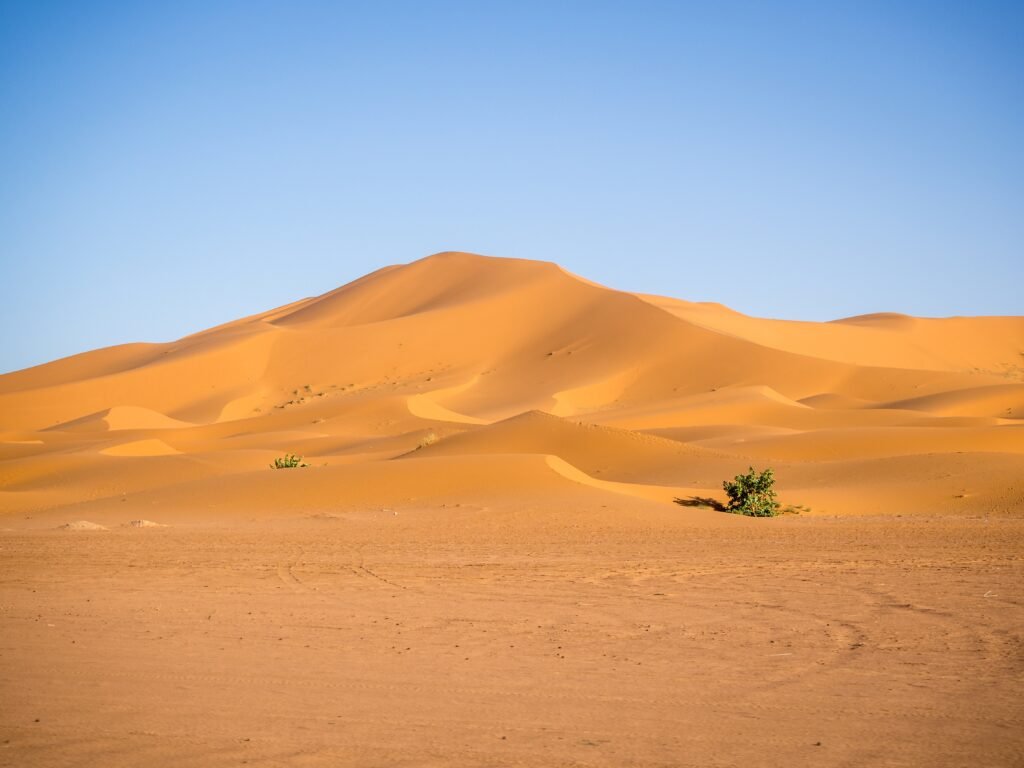 Día de Lucha contra la Desertificación y la Sequía