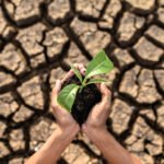 Día de Lucha contra la Desertificación y la Sequía
